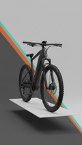 Carbon fiber electric bike